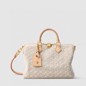 LOUIS VUITTON SPEEDY SOFT 30 OTHER MONOGRAM CANVAS EMBLEME SIGNATURE