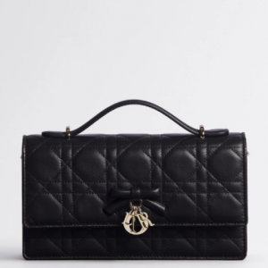 DIOR MY DIOR MINI BAG ( NEW )